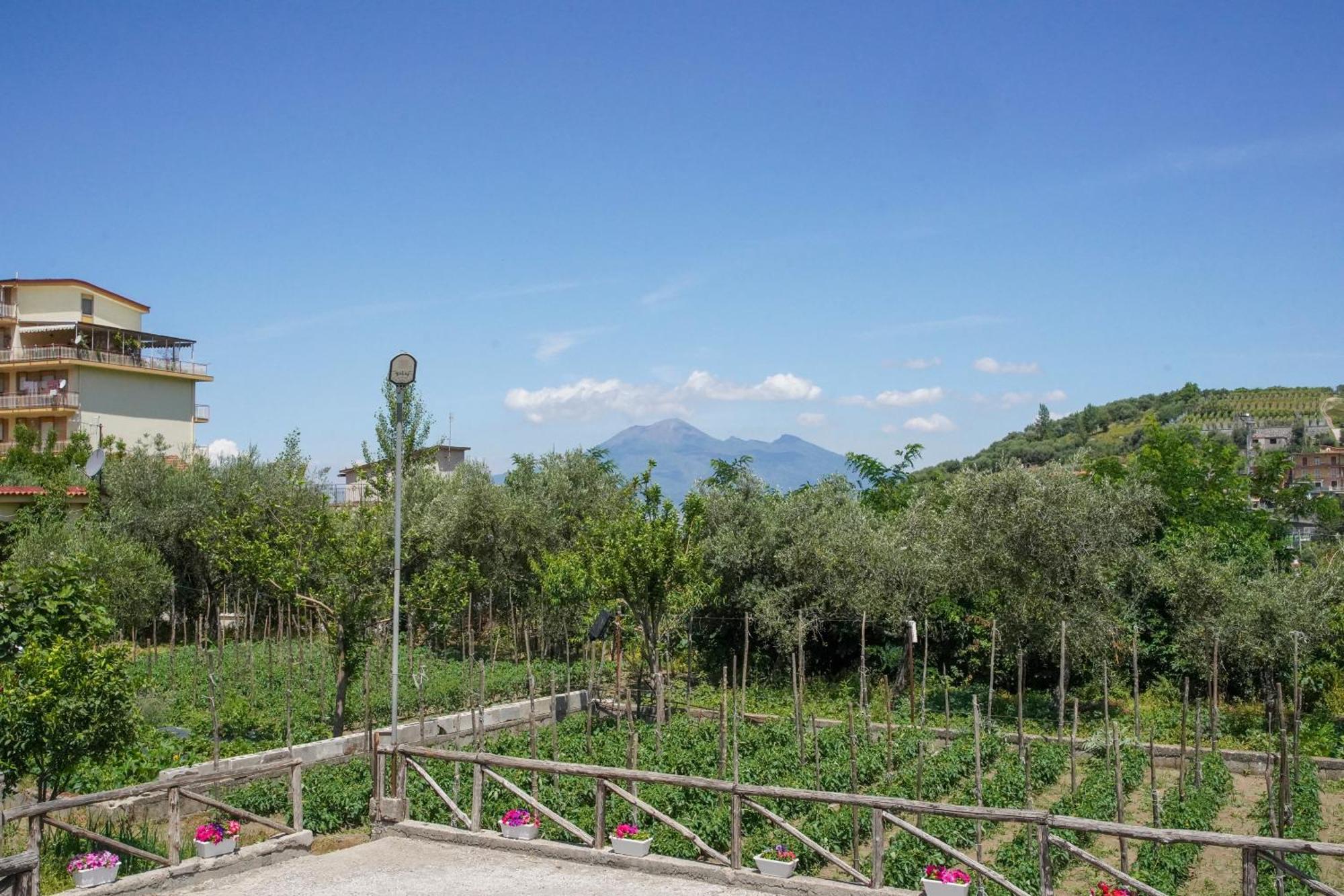 Bed and Breakfast Casa Fiorita Ґраньяно Екстер'єр фото
